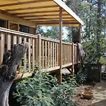 Campingplads Mobil-home Au Coeur Des Pins By Siblu Les Embruns Cap Ferret