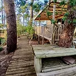 Mobil-home Au Coeur Des Pins By Siblu Les Embruns Cap Ferret Campingplads *