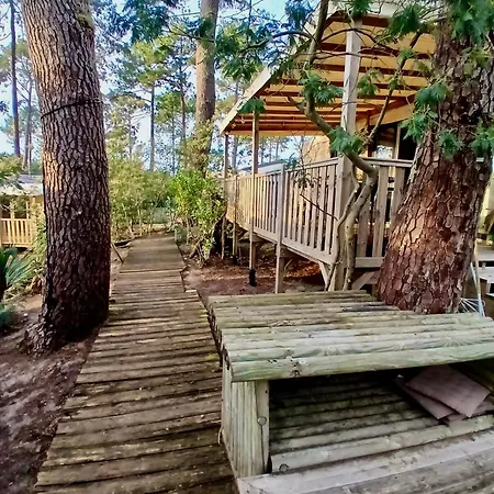 Mobil-home Au Coeur Des Pins By Siblu Les Embruns Cap Ferret Kemping *